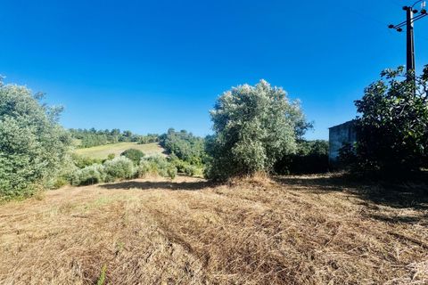 Helårsgrund i Tomar, Santarem, Tomar - € 40.000 | Ref: VCP299 - foto 9