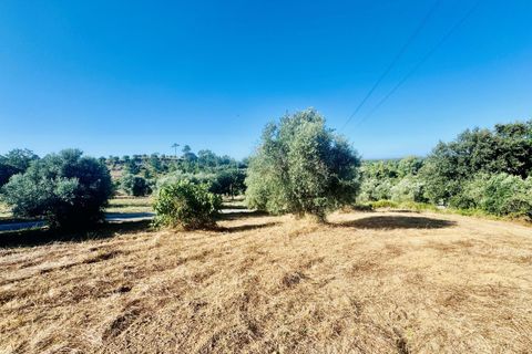 Helårsgrund i Tomar, Santarem, Tomar - € 40.000 | Ref: VCP299 - foto 10