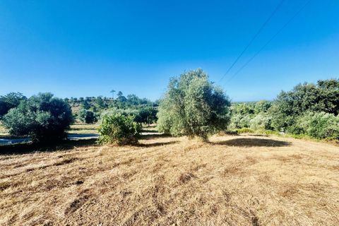 Helårsgrund i Tomar, Santarem, Tomar - € 40.000 | Ref: VCP299 - foto 11