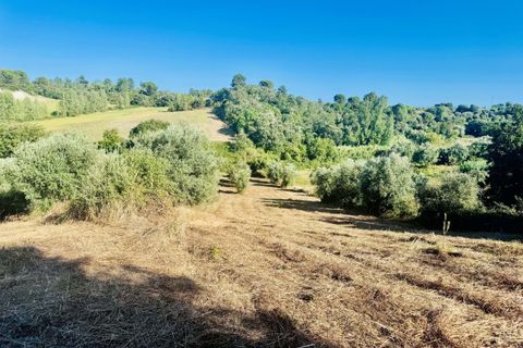 Helårsgrund i Tomar, Santarem, Tomar - € 40.000 | Ref: VCP299 - foto 12