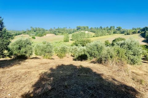 Helårsgrund i Tomar, Santarem, Tomar - € 40.000 | Ref: VCP299 - foto 13