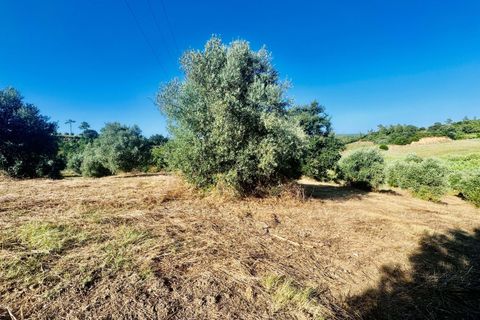 Helårsgrund i Tomar, Santarem, Tomar - € 40.000 | Ref: VCP299 - foto 14