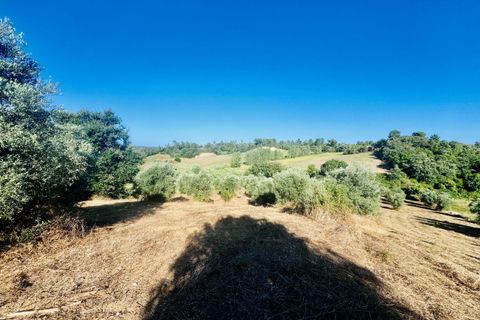 Helårsgrund i Tomar, Santarem, Tomar - € 40.000 | Ref: VCP299 - foto 15