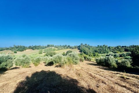 Helårsgrund i Tomar, Santarem, Tomar - € 40.000 | Ref: VCP299 - foto 16