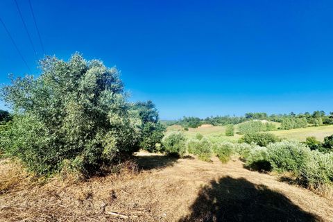 Helårsgrund i Tomar, Santarem, Tomar - € 40.000 | Ref: VCP299 - foto 17