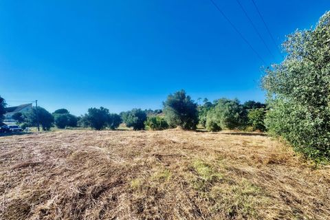 Helårsgrund i Tomar, Santarem, Tomar - € 40.000 | Ref: VCP299 - foto 18