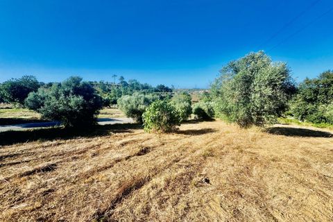 Helårsgrund i Tomar, Santarem, Tomar - € 40.000 | Ref: VCP299 - foto 19
