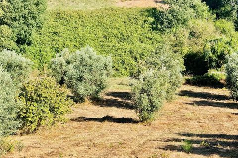 Helårsgrund i Tomar, Santarem, Tomar - € 40.000 | Ref: VCP299 - foto 21
