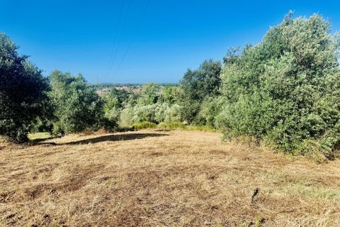 Helårsgrund i Tomar, Santarem, Tomar - € 40.000 | Ref: VCP299 - foto 22