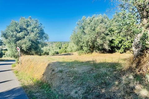 Helårsgrund i Tomar, Santarem, Tomar - € 40.000 | Ref: VCP299 - foto 23