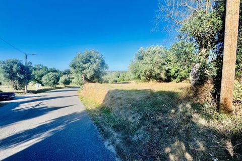 Helårsgrund i Tomar, Santarem, Tomar - € 40.000 | Ref: VCP299 - foto 24