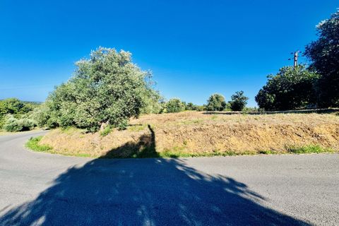 Helårsgrund i Tomar, Santarem, Tomar - € 40.000 | Ref: VCP299 - foto 25