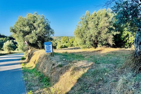 Helårsgrund i Tomar, Santarem, Tomar - € 40.000 | Ref: VCP299 - foto 2