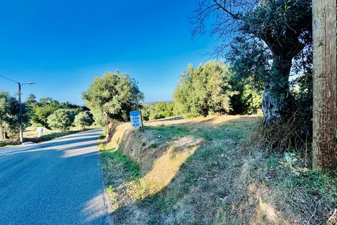 Helårsgrund i Tomar, Santarem, Tomar - € 40.000 | Ref: VCP299 - foto 27