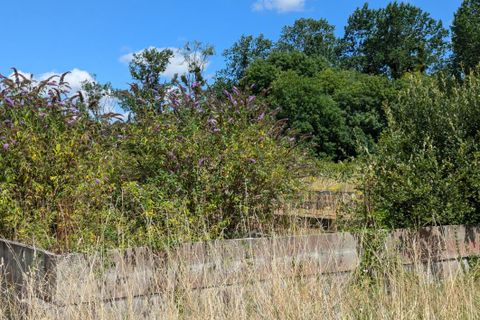 Helårsgrund i Pons, Charente-Maritime, Pons - € 65.000 | Ref: SM3773JONZ - foto 5