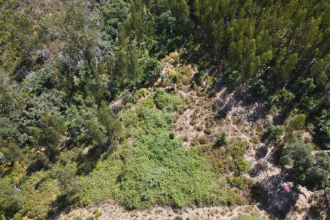 Helårsgrund i Monchique, Faro, Monchique - € 25.000 | Ref: 359240185 - foto 2