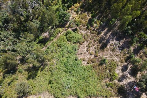 Helårsgrund i Monchique, Faro, Monchique - € 25.000 | Ref: 359240185 - foto 3