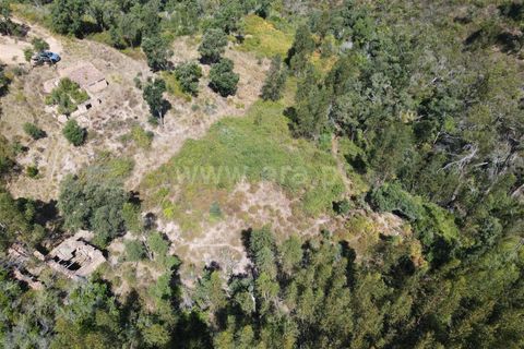 Helårsgrund i Monchique, Faro, Monchique - € 50.000 | Ref: 359240186 - foto 6