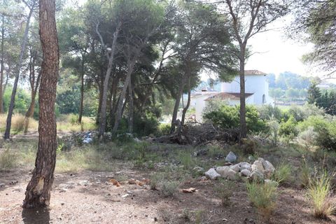 Helårsgrund i Moraira, Alicante, Moraira - € 350.000 | Ref: P0292 - foto 6