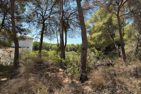 Helårsgrund i Moraira, Alicante, Moraira - € 350.000 | Ref: P0292 - foto 15