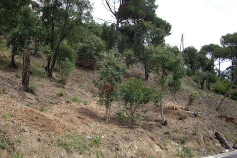 Helårsgrund i Calonge, Gerona, Calonge - € 68.000 | Ref: 1621 RDO - foto 14