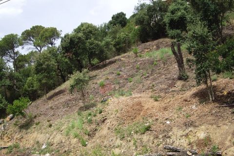 Helårsgrund i Calonge, Gerona, Calonge - € 68.000 | Ref: 1621 RDO - foto 15
