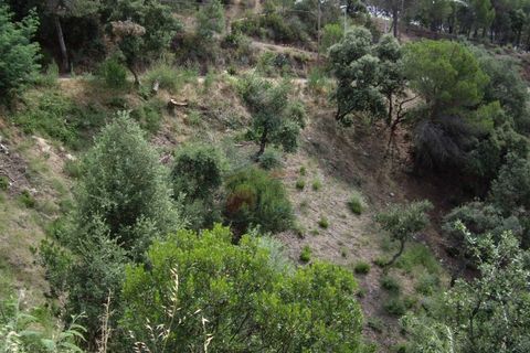 Helårsgrund i Calonge, Gerona, Calonge - € 68.000 | Ref: 1621 RDO - foto 16