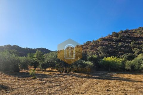 Tomt i Odeleite, Faro, Odeleite - € 15 000 | Ref: 2024029 - foto 3