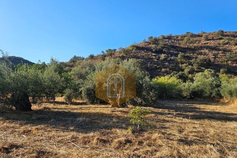Tomt i Odeleite, Faro, Odeleite - € 15 000 | Ref: 2024029 - foto 4