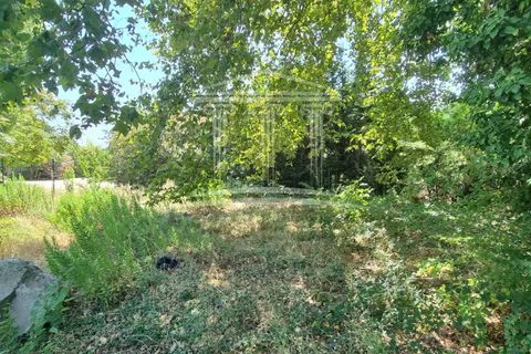 Terra a Sorgues, Vaucluse, Sorgues - € 190.000 | Ref: 8411 - foto 3
