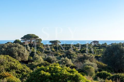 Helårsgrund i Ferragudo, Faro, Ferragudo - € 2.700.000 | Ref: Spy-00130 - foto 3