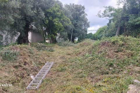 Byhus i Amares, Braga, Amares - € 124.900 | Ref: 211772 - foto 11