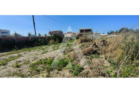 Helårsgrund i Aveiro, Aveiro, Aveiro - € 150.000 | Ref: 1040575/24 BR - foto 4