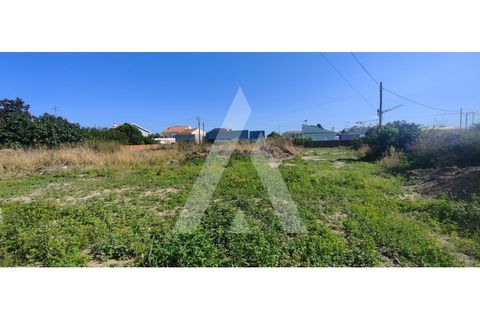 Helårsgrund i Aveiro, Aveiro, Aveiro - € 150.000 | Ref: 1040575/24 BR - foto 5