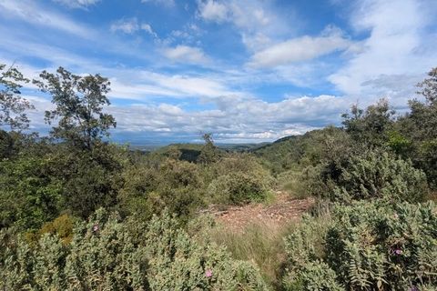 Terra a Carcès, Var, Carcès - € 15.000 | Ref: 3515 - foto 3