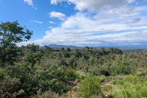 Terra a Carcès, Var, Carcès - € 15.000 | Ref: 3515 - foto 6