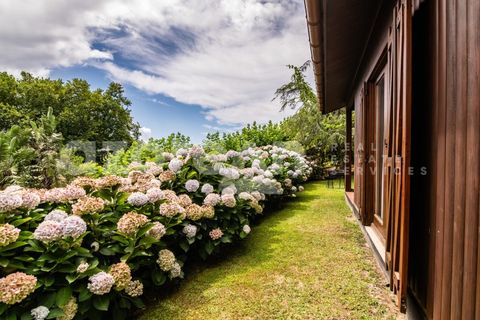 Villa a Ribeira Seca, Sao Miguel, Ribeira Seca - € 1.500.000 | Ref: 21121 - foto 30