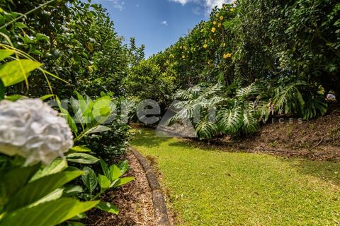 Villa a Ribeira Seca, Sao Miguel, Ribeira Seca - € 1.500.000 | Ref: 21121 - foto 46