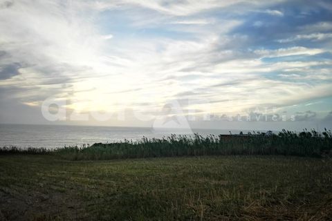 Terra a Ginetes, Sao Miguel, Ginetes - € 150.000 | Ref: 21115 - foto 5