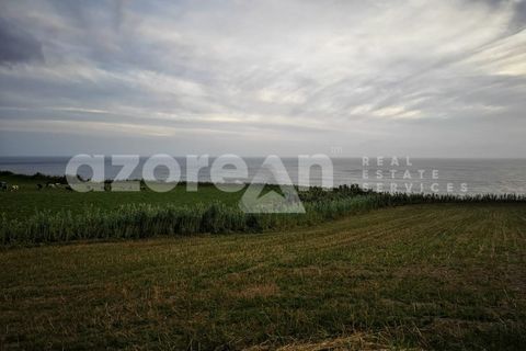 Terra a Ginetes, Sao Miguel, Ginetes - € 150.000 | Ref: 21115 - foto 7