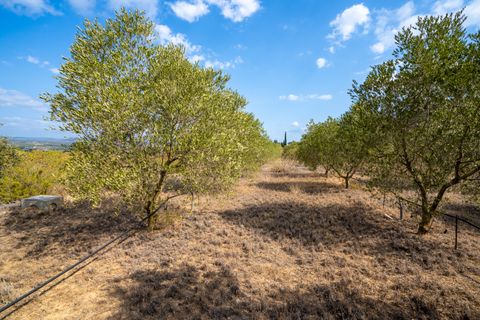 Finca i Ginestar, Tarragona, Ginestar - € 16.000 | Ref: 99 - foto 2