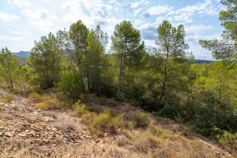 Finca i Ginestar, Tarragona, Ginestar - € 16.000 | Ref: 99 - foto 7
