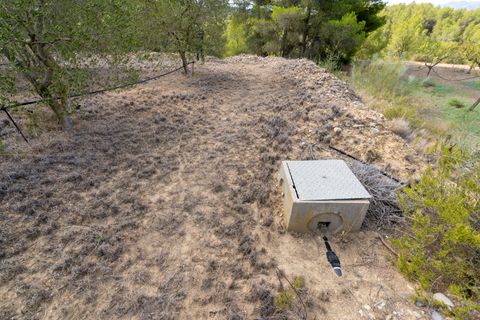 Finca i Ginestar, Tarragona, Ginestar - € 16.000 | Ref: 99 - foto 3