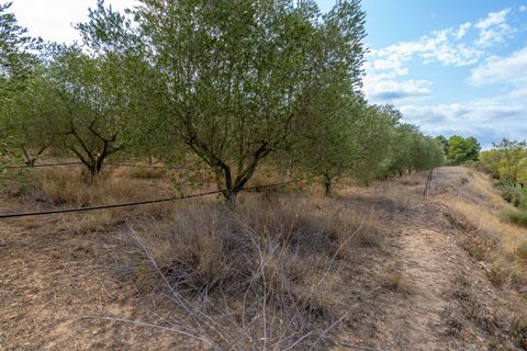 Finca i Ginestar, Tarragona, Ginestar - € 16.000 | Ref: 99 - foto 9