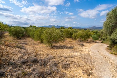 Finca i Ginestar, Tarragona, Ginestar - € 16.000 | Ref: 99 - foto 8