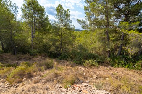 Finca i Ginestar, Tarragona, Ginestar - € 16.000 | Ref: 99 - foto 5
