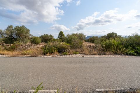 Finca i Ginestar, Tarragona, Ginestar - € 9.000 | Ref: 100 - foto 5