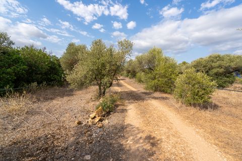 Finca i Ginestar, Tarragona, Ginestar - € 9.000 | Ref: 100 - foto 2