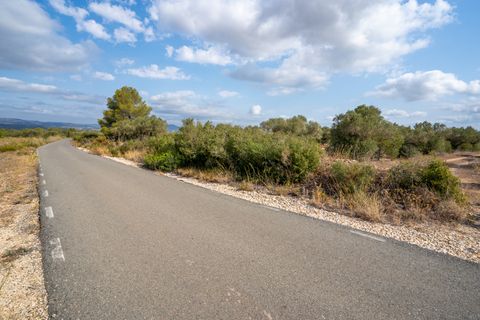 Finca i Ginestar, Tarragona, Ginestar - € 9.000 | Ref: 100 - foto 8