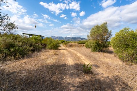 Finca i Ginestar, Tarragona, Ginestar - € 9.000 | Ref: 100 - foto 3